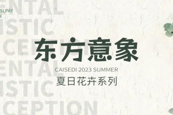 CAISEDI | 一起进入花花世界